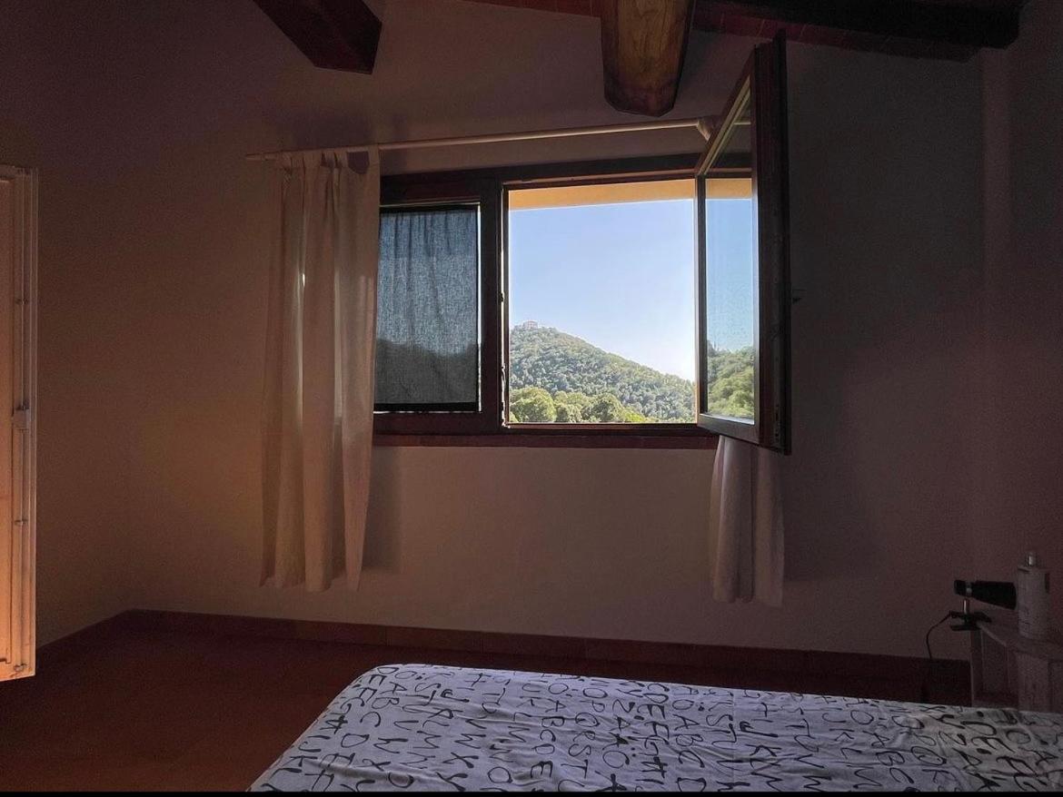 Agriturismo Il Sorbo Appartamento Menta Sticciano Екстериор снимка